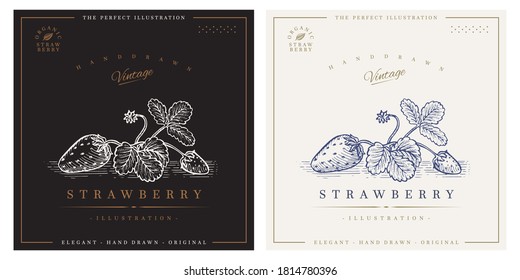 Strawberry retro logo illustration illustration in a vintage engraving woodcut etching style.