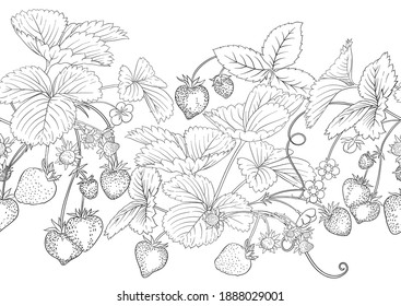 Strawberry. Ripe berries. Seamless pattern, background. Outline vector illustration. In botanical style Isolated on white background..