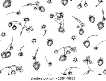 Strawberry. Ripe berries. Seamless pattern, background. Vector illustration. In graphic, egraving, botanical style Isolated on white background