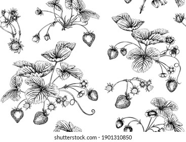 Strawberry. Ripe berries. Seamless pattern, background. Vector illustration. In graphic, egraving, botanical style Isolated on white background