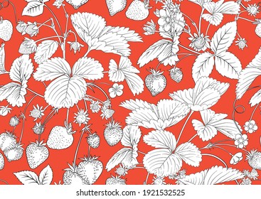Strawberry. Ripe berries. Seamless pattern, background. Outline vector illustration. In botanical style on red background