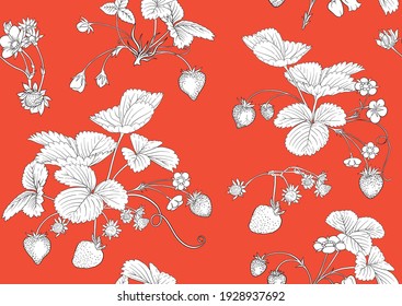 Strawberry. Ripe berries. Seamless pattern, background. Outline vector illustration. In botanical style on red background