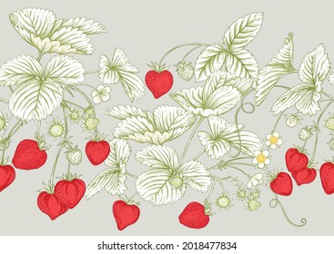 Strawberry. Ripe berries. Seamless pattern, background. Vector illustration. In botanical style, color and outline.