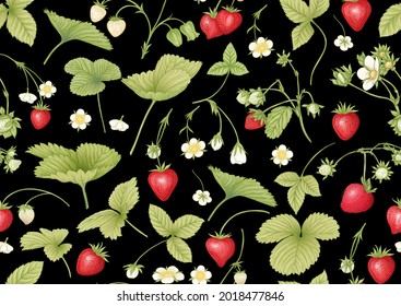 Strawberry. Ripe berries. Seamless pattern, background. Vector illustration. In botanical style On black background..