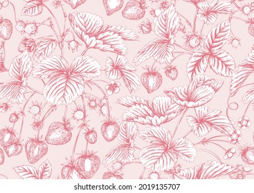 Strawberry. Ripe berries. Seamless pattern, background. Vector illustration. In graphic, egraving, botanical style in soft pink colors..