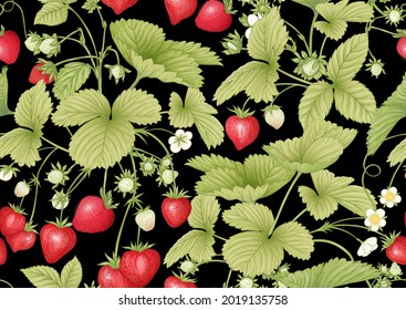 Strawberry. Ripe berries. Seamless pattern, background. Vector illustration. In botanical style On black background..