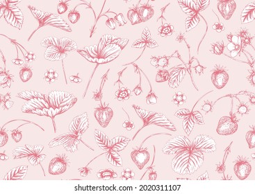 Strawberry. Ripe berries. Seamless pattern, background. Vector illustration. In graphic, egraving, botanical style in soft pink colors..