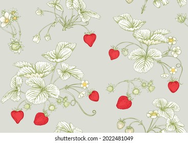 Strawberry. Ripe berries. Seamless pattern, background. Vector illustration. In botanical style, color and outline.