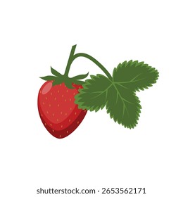 Morango. Morango maduro. Morango vermelho com folha verde. Morangos em estilo cartoon. A ilustração vetorial é isolada em um fundo branco.