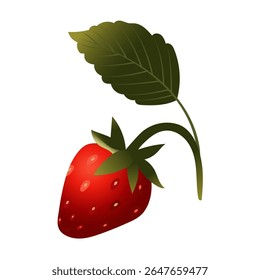 Strawberry. Ripe red berry close-up. Vector illustration isolated on white background.