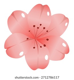 Fresa y Sakura diseño de patrón sin fisuras florales