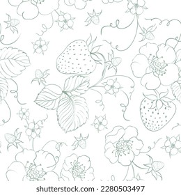 Strawberry seamless pattern. Vector botanic.