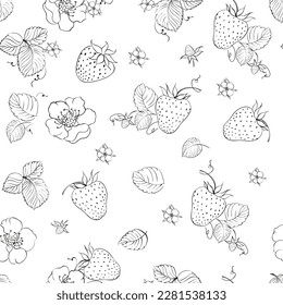 Strawberry seamless pattern. Vector botanic.