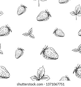 Strawberry seamless sketch pattern. Isolated hand drawn berry without background. Wallpaper pattern, doodle of strawberry. Vector backdrop.