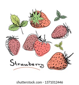 Strawberry set. Collection of isolated sketchy style strawberries. Colored doodle berries. Hand drawn vector illustration without background