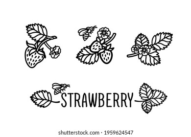 Strawberry set. Collection of isolated sketchy style strawberries. Doodle berries in black and white. Hand drawn vector illustration without background. Strawberry branch with flowers and bees.
