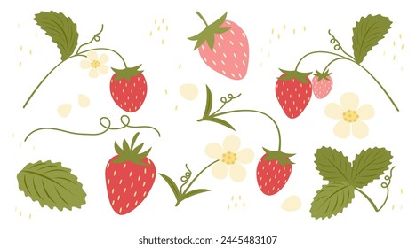 Strawberry set in flat style on a white background. Juicy summer illustration of red and pink berries, flowers, leaves