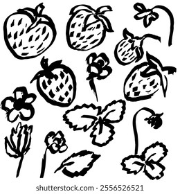 Strawberry set, hand draw with texture. Vector, isolated. Doodle, marker, stylish and modern.