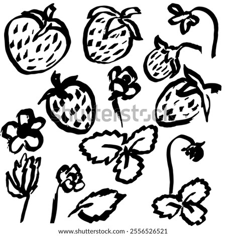 Strawberry set, hand draw with texture. Vector, isolated. Doodle, marker, stylish and modern.
