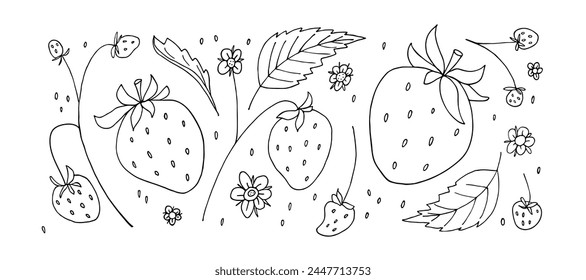 Juego de fresas. Dibujado a mano boceto doodle ilustración con bayas, hojas y flores de plantas. Vector diseño natural para pegatina, logotipo, concepto de dieta, mercado. Fondo blanco y negro de fresa.