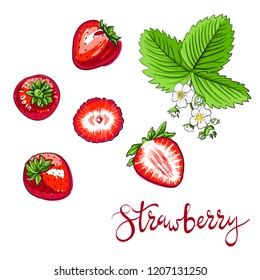 Strawberry set, hand drawn vector illustration