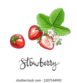Strawberry set, hand drawn vector illustration