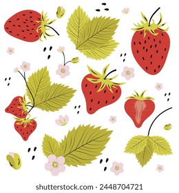 Conjunto de fresa, hojas y flores en un estilo de Vector plano sobre un fondo blanco. Una ilustración simple dibujada a mano de una fresa en el estilo de un Vector plano.

