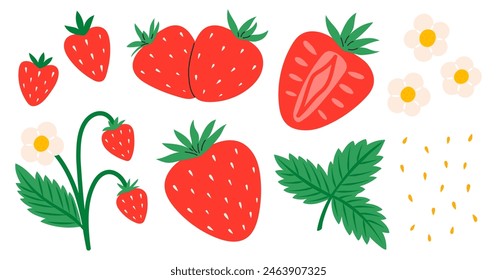 Strawberry set. Red strawberries with leaves and flowers. Juicy summer berries. Flat Vector illustration isolated on white background