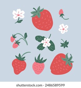 Juego de fresas. Fresas rojas con hojas y flores. Jugosas bayas de verano. Ilustración vectorial plana aislada sobre fondo blanco