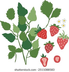 Strawberry set with strawberries leaves and flowers. Retro groovy summer berries elements. Vector illustration.