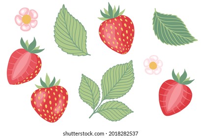 Strawberry set. Vector illustration for organic food, fruit, farm market, natural product concept