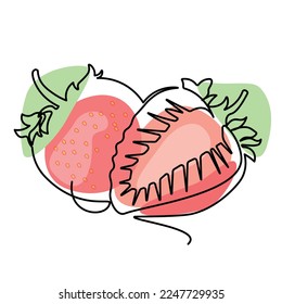 strawberry single line illustration, strawberry continuous line vector illustration, colored
