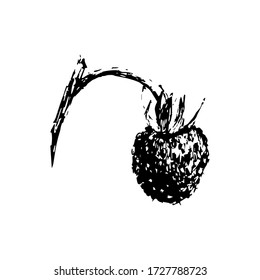 strawberry sketch black and white