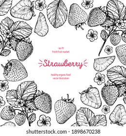Strawberry sketch frame, hand drawn vector illustration. Strawberries design template . Strawberry hand drawing	