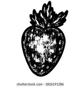 Strawberry sketch hand drawn vector illustration on white background. Fresh berries for seasonal menu, culinary books.