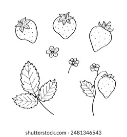 Strawberry sketch icons set. Vector illustration of cartoon strawberry berries with leaves, doodle style.