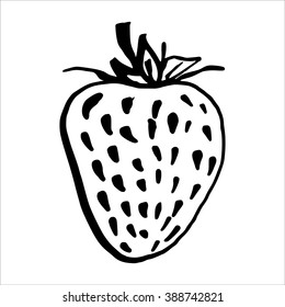 Strawberry sketchy style/ Ink hand drawn vector illustration