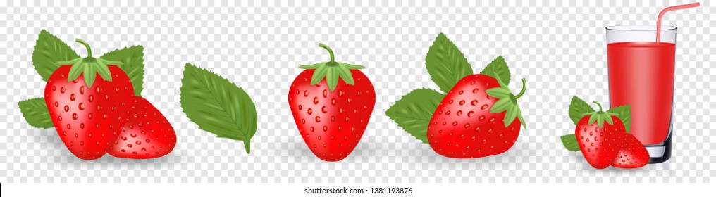 Fresa y rodajas de fresa, pétalos. Ilustración vectorial de fresas en fondo transparente. Ilustración vectorial para el afiche decorativo, emblema producto natural, mercado agrícola