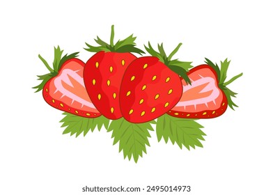 Strawberry slices. Red ripe strawberry half with green leaves. fruit and food. Vector illustration.