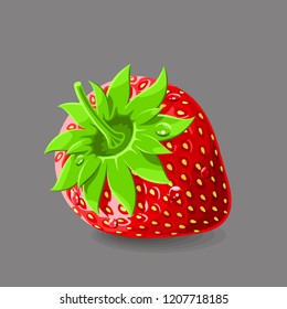 Strawberry with a stem and drops of water on grey. Vector illustration. No gradients