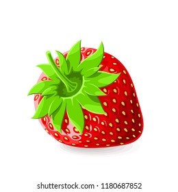 Strawberry with a stem on white. Vector illustration. No gradients