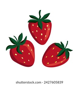 Strawberry summer hand drawn fruit. Vector sweet food clip art isolate on white background