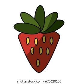 Strawberry sweet fruit