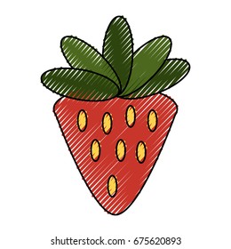 Strawberry sweet fruit