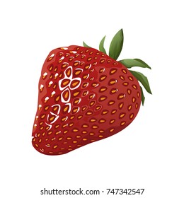 Strawberry sweet fruit