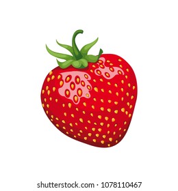 Strawberry. Sweet fruit. fresh red strawberry on white background. vector illustration. Realistic illustration. Vector Eps 10. 