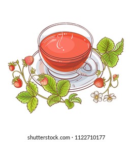 strawberry tea illustration