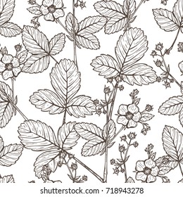 Strawberry Tea Seamless Pattern. Hand drawn Sketch Strawberry Flower and Strawberry Leaf. Vector Flowers and Leaves. Medicinal Plants. Alternative Medicine Floral Background