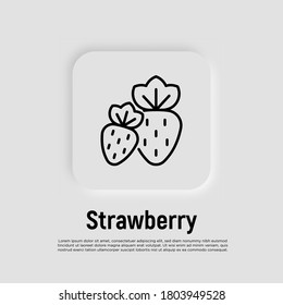 Strawberry thin line icon. Berries. Healthy organic food. Vector illustration.