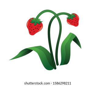 Strawberry tree illustration,Strawberry child book vector